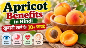 Apricot benefits in Hindi - खुबानी खाने के फायदे